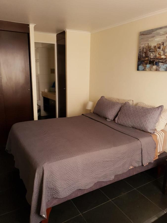 Departamento Con Terraza R&M Apartman Santiago Kültér fotó