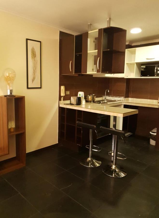 Departamento Con Terraza R&M Apartman Santiago Kültér fotó